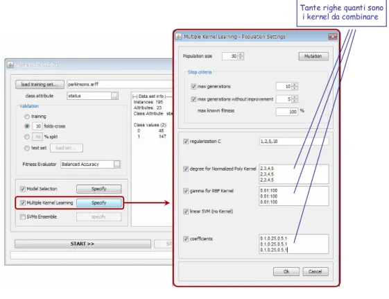 Figura 4.7: GAFrameworkGUI 1.0 - Popolazione per Multiple Kernel Learning