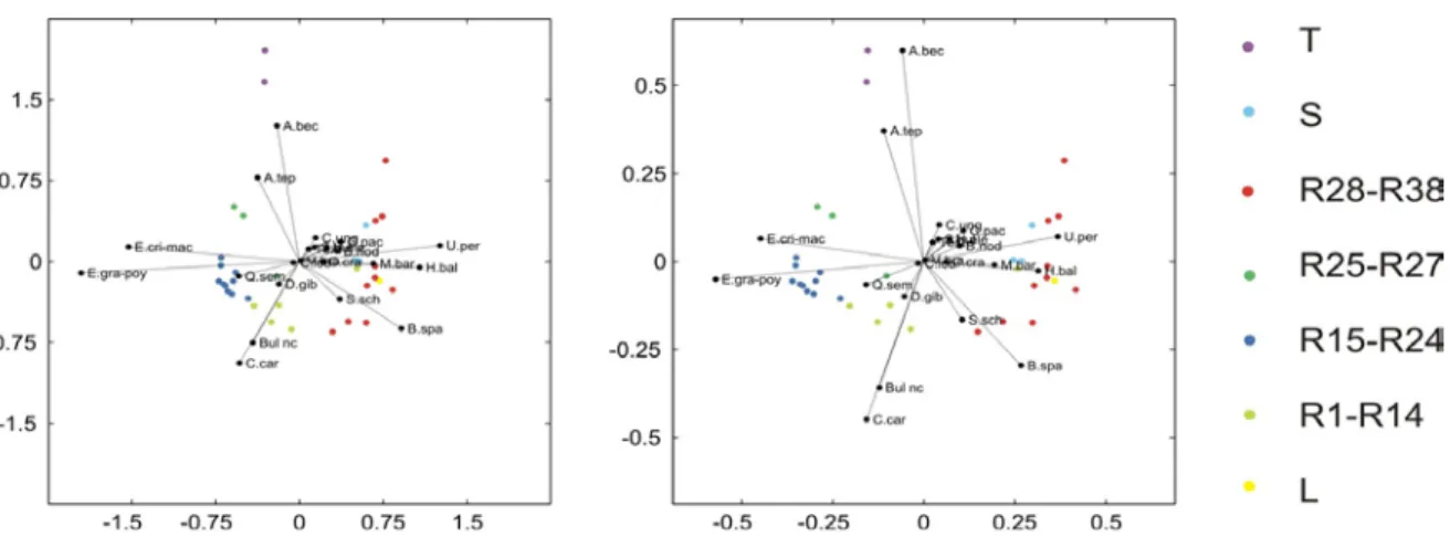 Figura  4.3:  Relative  variation  biplot  elaborati  per  le  associazioni  a  foraminiferi  bentonici delle sezioni analizzate
