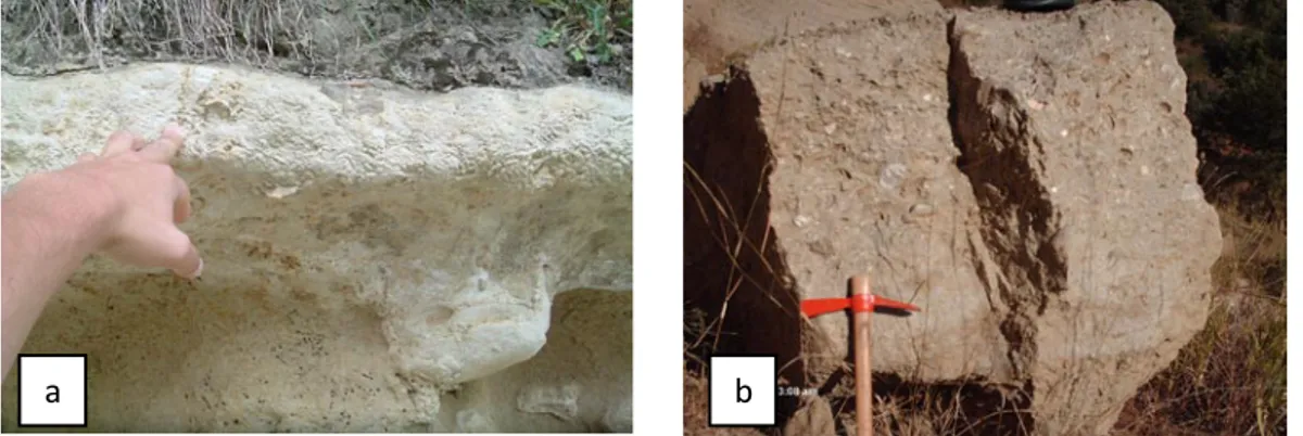 Figura  5.1:  1a)  livello  cementato  siltitico;  1b)  livello  cementato  sabbioso-ghiaioso- sabbioso-ghiaioso-fossilifero