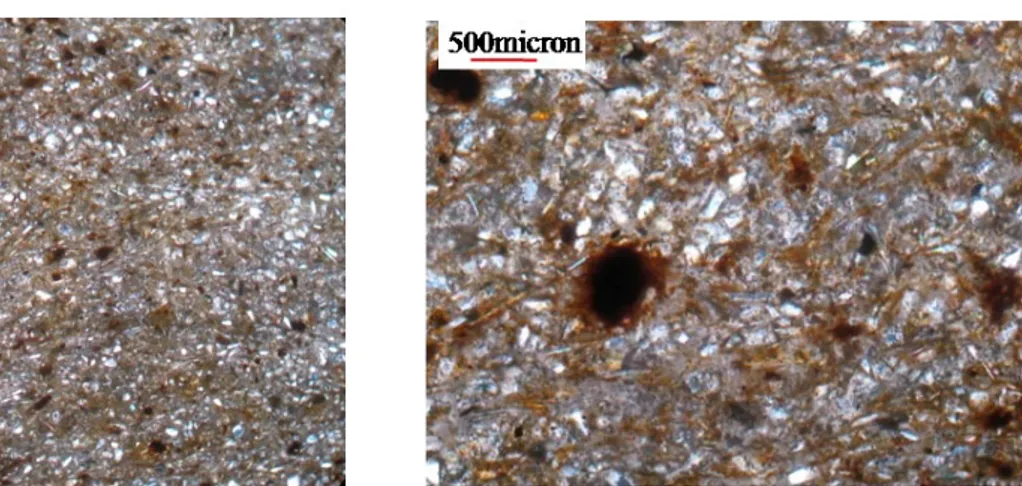 Figura 5.7: Immagini al microscopio ottico a nicols incrociati del campione FS. 7a)  Vista a bassi ingrandimenti che evidenzia la tessitura della roccia