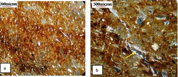 Figura  5.9:  Immagini  al  microscopio  ottico  a  nicols  incrociati  del  campione  PI