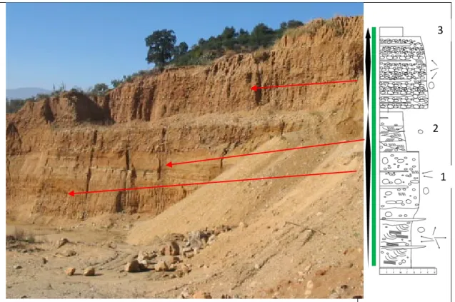 Figura 7.11: Colonna stratigrafica Arente 2a, nella quale sono evidenziate repentine  variazioni  granulometriche,  legate  probabilmente  all’alternanza  delle  fasi  trasgressivo-regressive