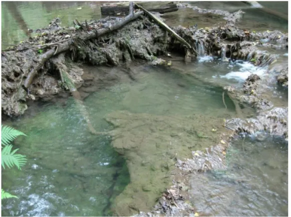 Fig. 4.11. Barrage up-stream wall developed pool behind the barrage. 