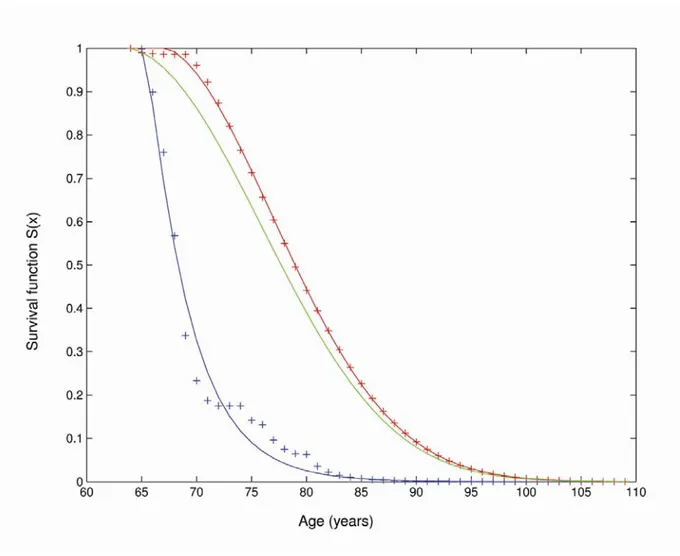 Fig. 1. Maximum likelihood estimates of the survival functions of TT homozygous 
