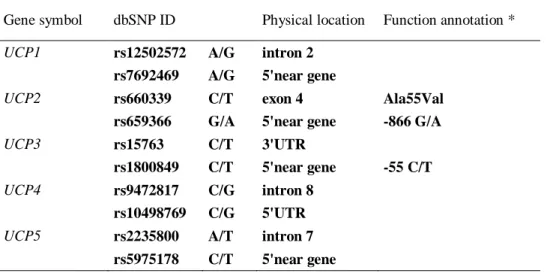 Table 1. Description and localization of the selected SNPs in the UCP genes. 