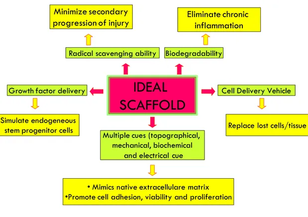Figure 1.2 Ideal properties of scaffold. Adapted by Subramanian et al. [12]. 