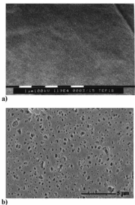 Figure 1.5 Scanning electron micrographs of flat membrane surfaces: a) 