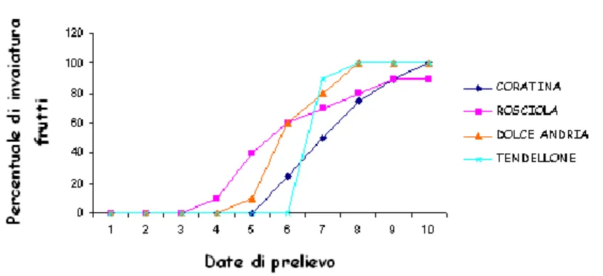 Fig. 14: Percentuale di drupe invaiate in dieci stadi successivi di maturazione. 