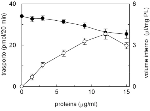 Fig.  1  Dipendenza  dell’efficienza  della  ricostituzione  del  trasportatore  per  la  glutammina/amminoacidi  neutri  dalla  concentrazione  di  proteina