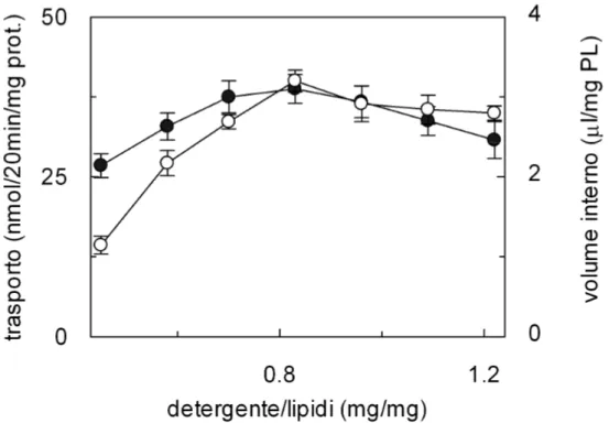 Fig.  2  Dipendenza  dell’efficienza  della  ricostituzione  del  trasportatore  per  la  glutammina/amminoacidi neutri dal rapporto detergente/lipidi