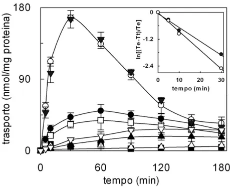 Fig.  4  Dipendenza  dal  tempo  del  trasporto  di  [ 3 H]-glutammina  nei  proteoliposomi 