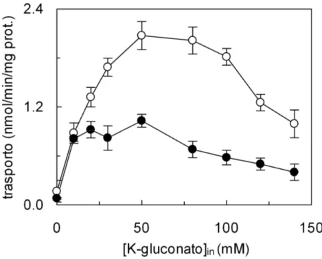Fig. 7 Dipendenza del trasporto di glutammina dalla concentrazione intraliposomiale  di K + 