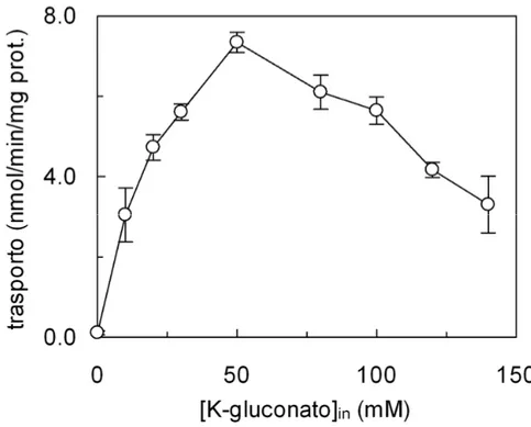Fig. 8 Dipendenza del trasporto di glutammina dalla concentrazione intraliposomiale  di K +  in presenza di valinomicina
