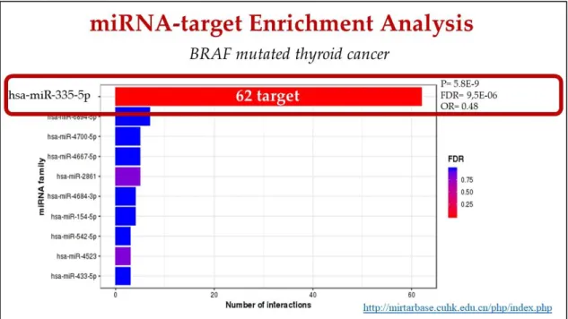 Figure 3: miRNA-target enrichment analysis of switch genes involved in BRAF-mediated 