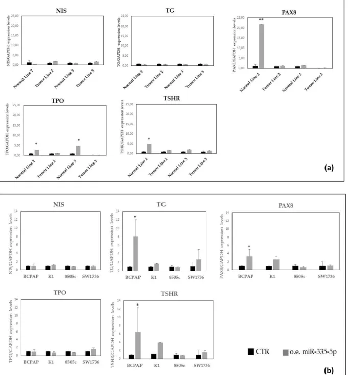 Figure 5: Expression levels of thyroid specific genes in primary thyroid cell lines (a) and 