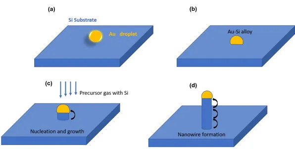 Figure 1. 1. The schematic corresponding to the VLS growth of a Si NW starting  with (a) a clean Si substrate with gold droplet deposited on it (b) which forms  Au-Si alloy upon application of heat, (c) followed by introduction of precursor gases  containi