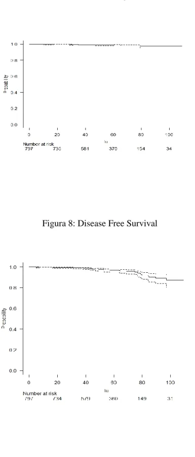 Figura 8: Disease Free Survival