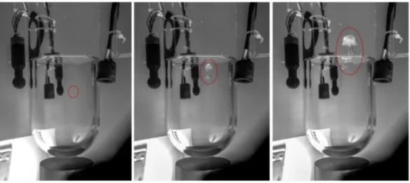 Fig. 7 Tipica nucleazione di bolle con formazione di geyser durante un run con solo background a ΔT ≅ 8.47 °C