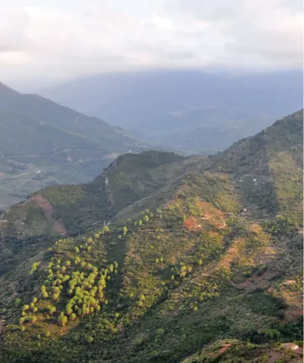 Figura 2 - Il sistema montuoso delle Madonie, in Sicilia. 