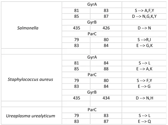 Table 4.1.  Variants and their corresponding sequence positions   associated with drug resistance in bacteria collected in Quinores3D db