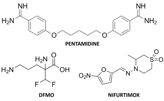 Figure  10.  T. brucei gambiense  treatment: chemical structures of pentamidine, eflornithine and  nifurtimox