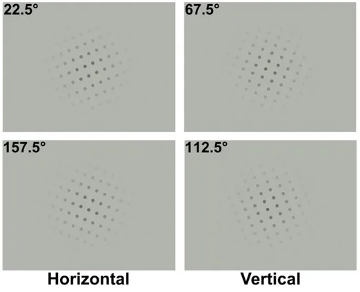 Figure 2.1: Examples of dot lattices at AR = 1.2, we employed in our experiment. The orientation  of the stimuli is defined according to the angle θ between the horizontal diameter of the circular  configuration and the vector a