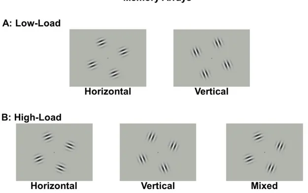 Figure 2.2: Memory arrays used for the different conditions of change detection task. Each array  consists of a squared configuration of Gabor patches, rotated 22.5° clockwise or counterclockwise  from the horizontal, with each stimulus being equidistant f