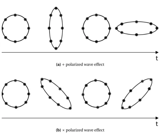 Figure 1.1. Gravitational wave effect on a particles ring