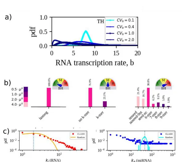 Figure 3.5. Modeling heterogeneities.( a) Distributions of RNA transcription rates used in this work: each rate is assumed to be drawn independently from a log normal distribution with given mean (same for each RNA species)