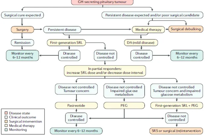 Figura	n.	6	Management	terapeutico	dell’Acromegalia	[9]	