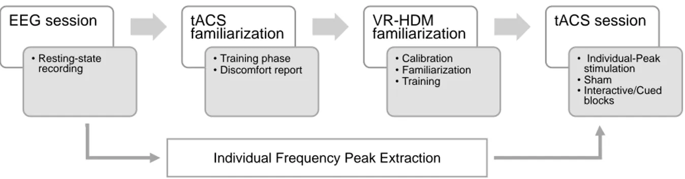 Figure 1  – Timeline of the experimental procedure.   Electroencephalography (EEG) Protocol  