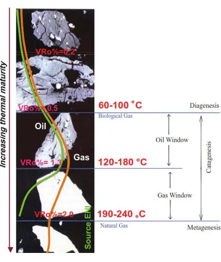 Figure 3.2.2.1 evolution of vitrinite reflectance with increasing  burial and temperature