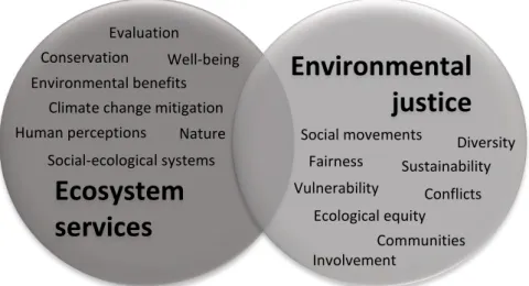 Figure 2.1: Topics included in  the literature review 