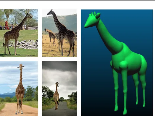 Figure 4.1. Left: Images of an animal downloaded from the web, Right: 3D