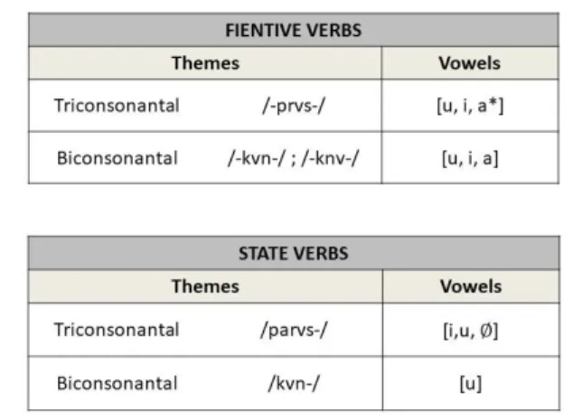 Figure  2  schematically  presents  the  Semitic  state  of  affairs: 