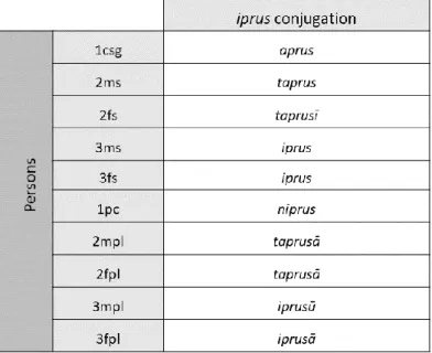 Figure 8 The Akkadian (Old Babylonian) prefix conjugation