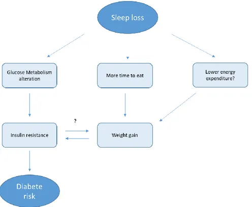 Figure 1 . Re-adapted schematic of the potential pathways leading from sleep loss to diabetes risk by Knutson (2007) 