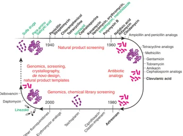Figure 4 A timeline for antibiotic research. (Fernandes, P., 