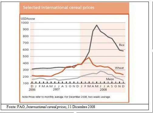 Figura  3  -  Andamento  dei  prezzi  di  alcuni  cereali  (riso,  grano,  mais)  nel  periodo  2006  –  2008 106