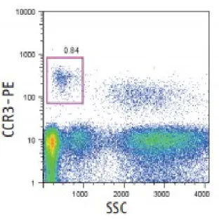 Figura 10. Selezione dei basofili CCR3 pos /SSC low