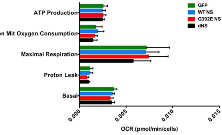 Figure  11.  Seahorse  analysis  of  differentiated  NSPCs.  A.  NSPCs  were  differentiated  for  6  days  and 