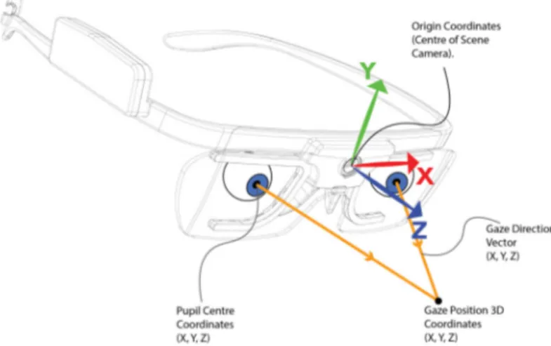 Figure 2.9. Overview of the gaze quantities calculated by an head mounted eye tracking