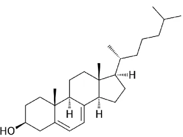 Figura 11  –  Struttura del 7-deidrocolesterolo .
