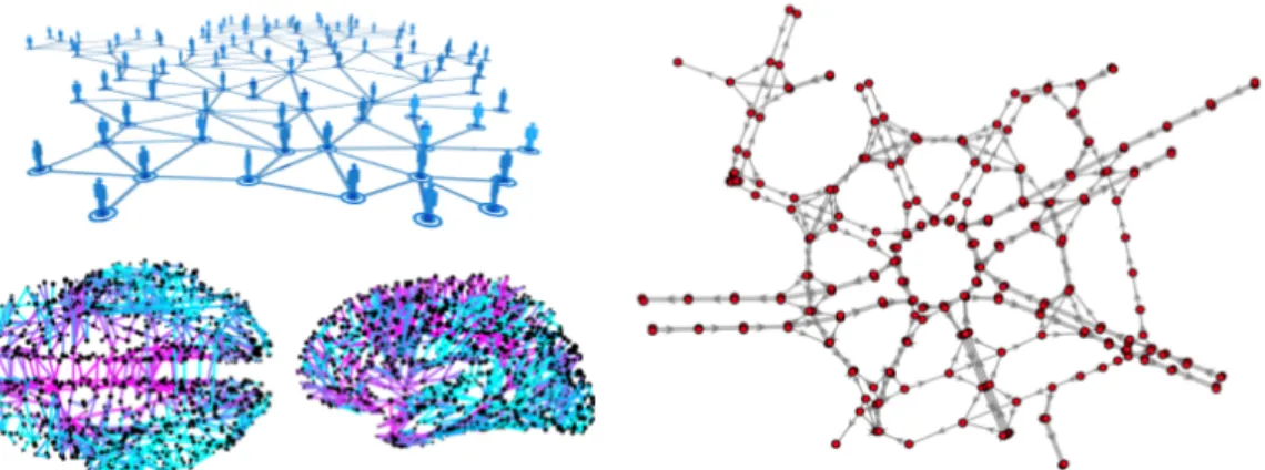 Figure 1.2. Networks examples: social network (top left), brain network (bottom left) and vehicular network (right).