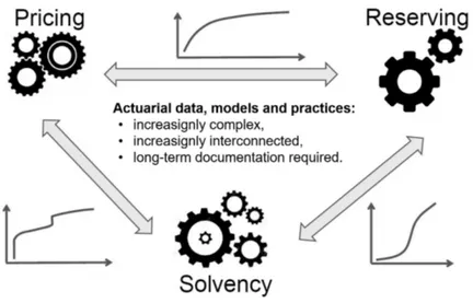 Figure 1.3. Actuarial pricing, reserving and capital modelling (solvency) functions are nowadays