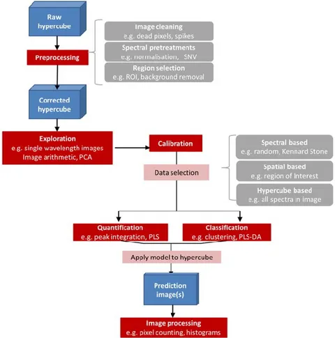 Figura 2.2.3. Diagramma di flusso che mostra i tipici passaggi richiesti nell’analisi d’immagine iperspettrale  (Gowen et al., 2015)