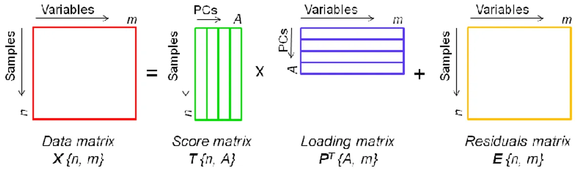 Figura 2.3.2. Fattorizzazione di una matrice di dati, secondo la tecnica della PCA. 