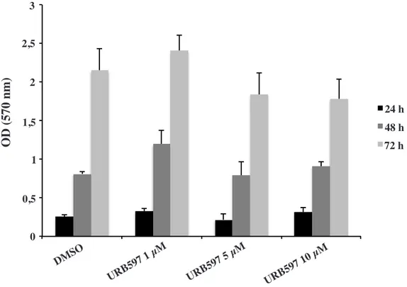 Figura 9. Saggio di vitalità con MTT dell’inibitore URB597 alla concentrazione  di 1, 5, e 10 µM su cellule BV-2 per 24, 48 e 72 ore
