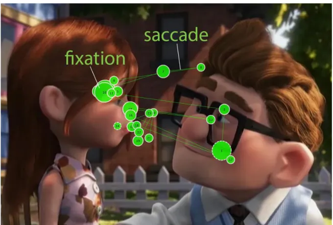 Figure  2.1.1.  Example  of  a  scanpath,  consisting  in  a  series  of  saccades  (green  lines)  and  fixations  (green circles)