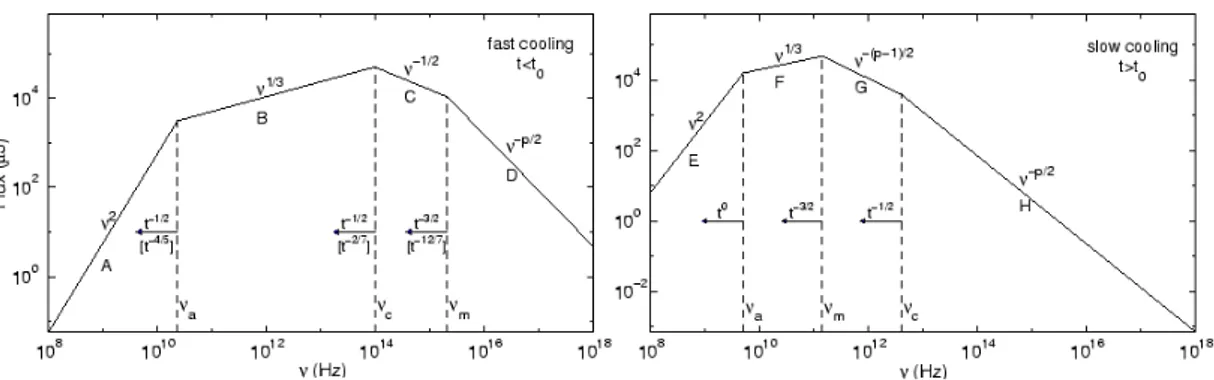 Figure 1.11. Synchrotron spectrum of a relativistic shock with a power-law electron distribution in a fast cooling (left panel) and a slow cooling (right panel) regime